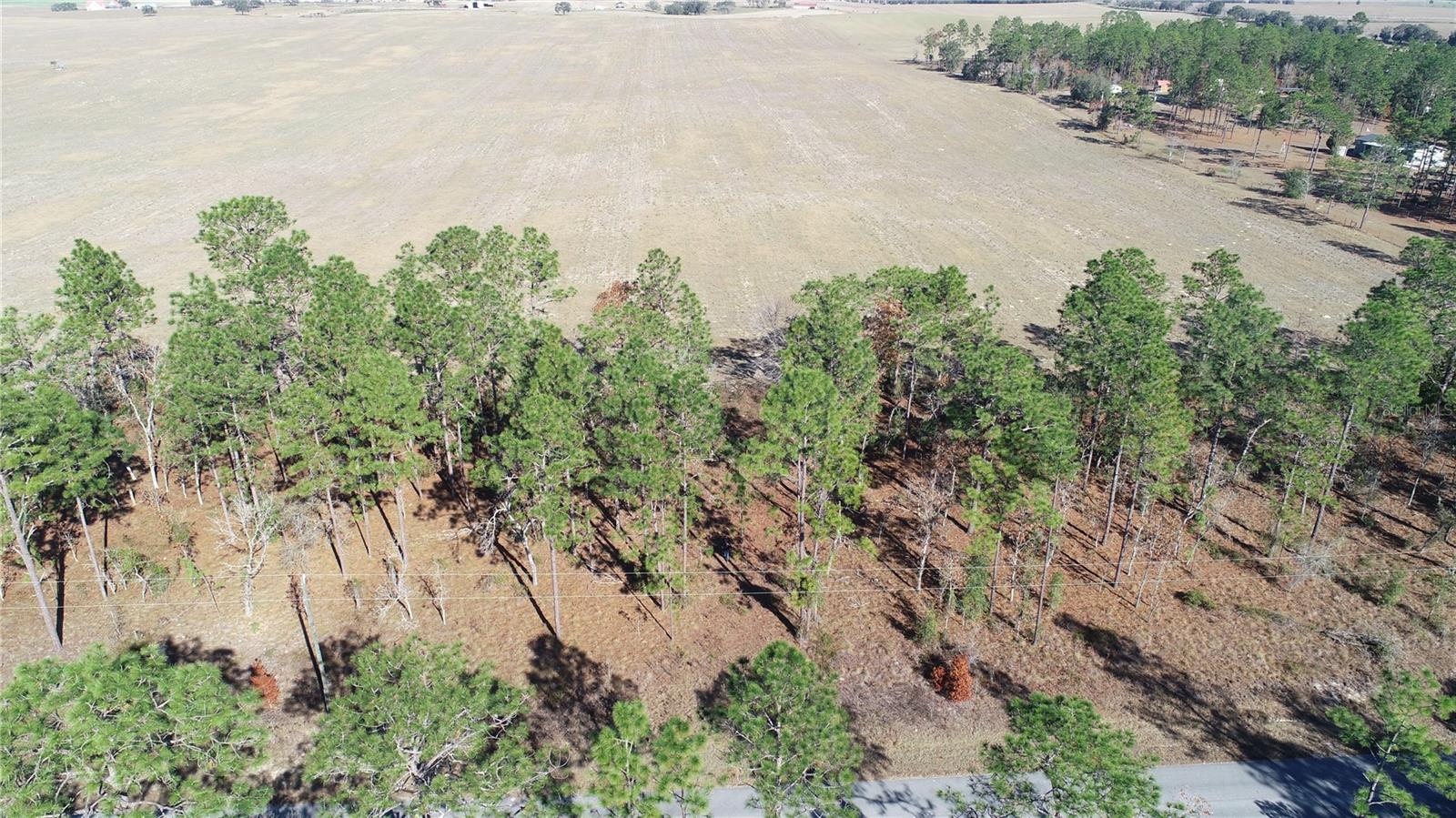 Lot 13 NE FALCON AVE, DUNNELLON, FL, 34431
