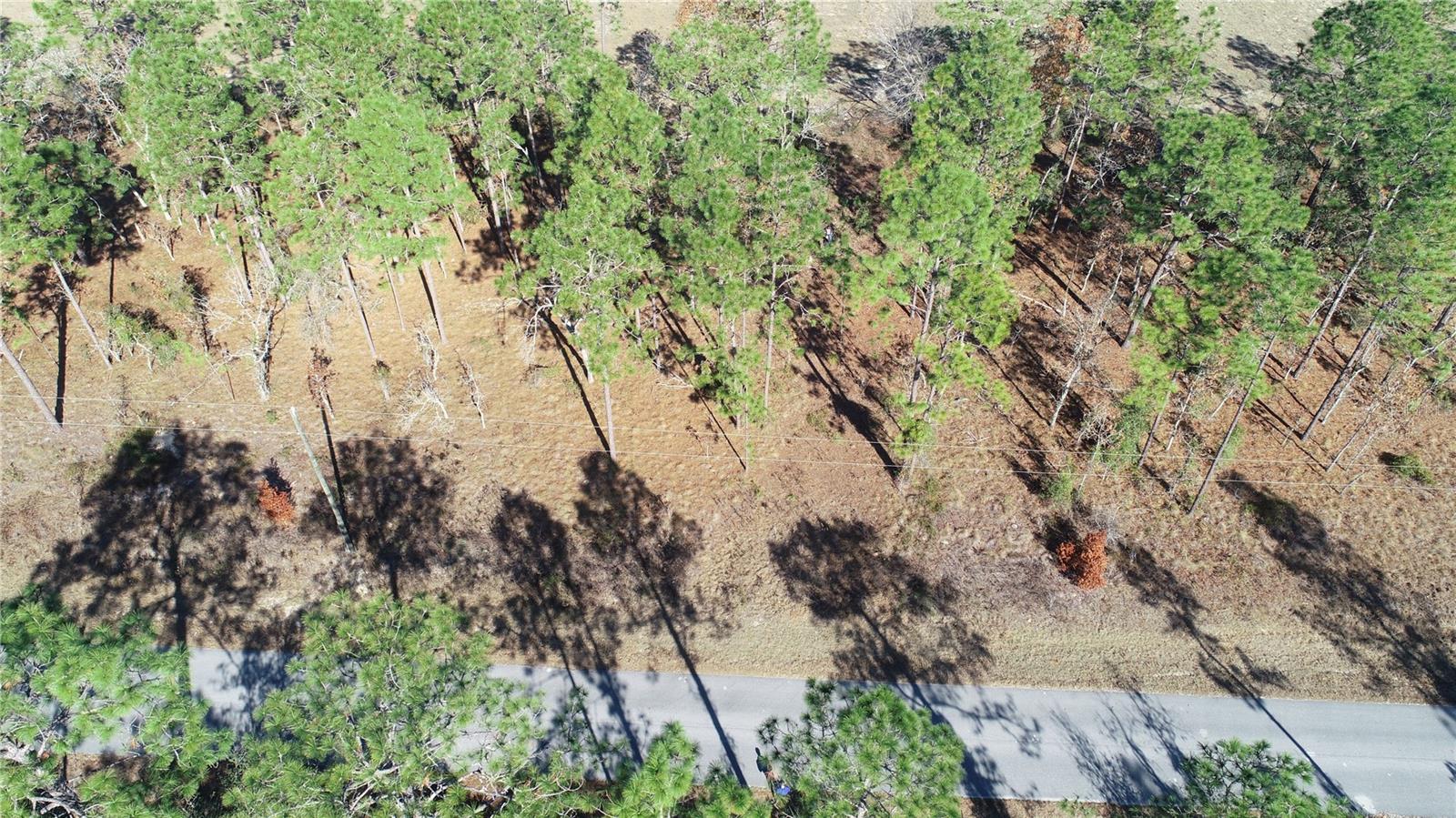 Lot 13 NE FALCON AVE, DUNNELLON, FL, 34431