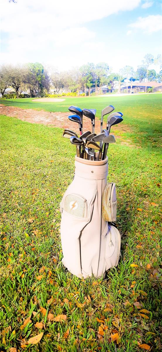 1142 MARINER CAY DR, HAINES CITY, FL, 33844