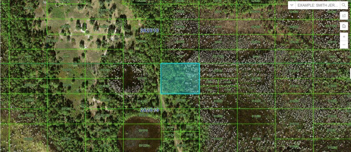 OLD GRADE RD, POLK CITY, FL, 33868