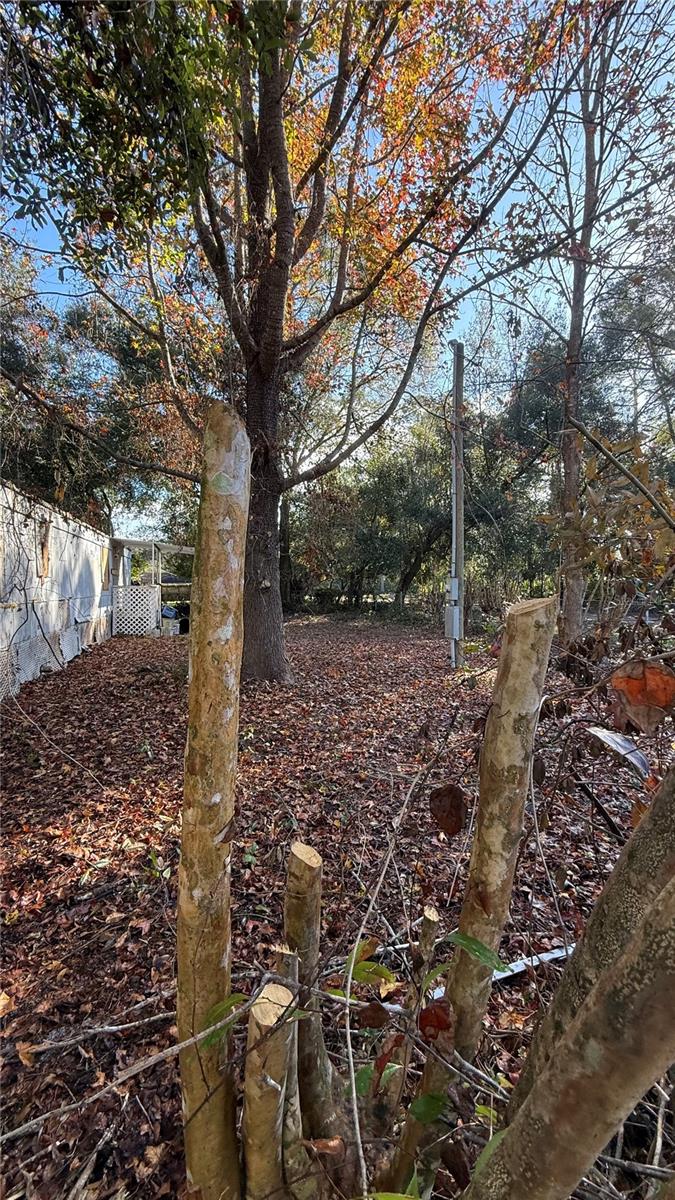 116 WATEROAK RD, SATSUMA, FL, 32189