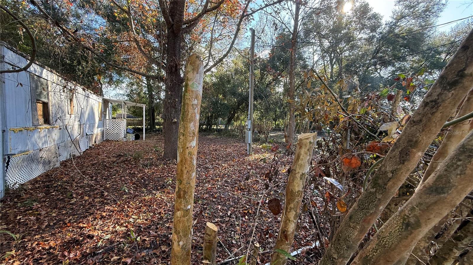 116 WATEROAK RD, SATSUMA, FL, 32189