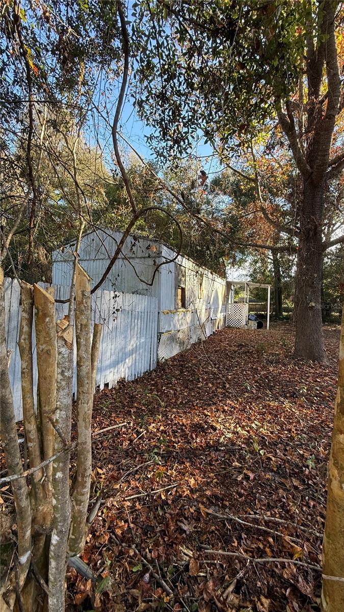 116 WATEROAK RD, SATSUMA, FL, 32189
