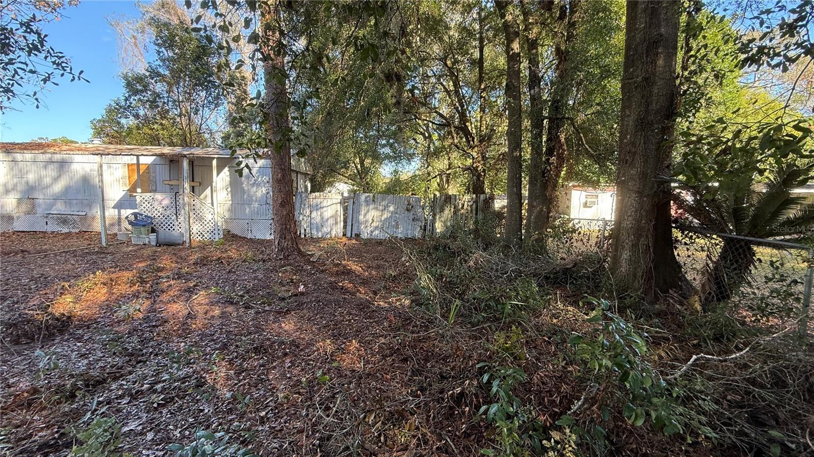 116 WATEROAK RD, SATSUMA, FL, 32189
