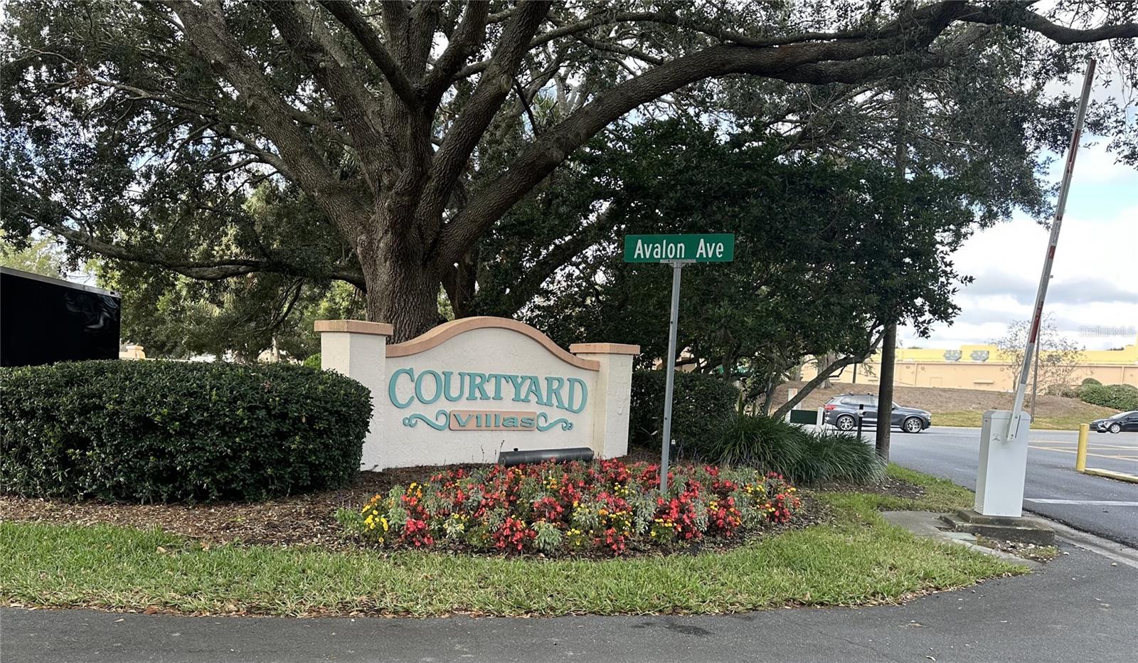 952 AVALON AVE, THE VILLAGES, FL, 32159
