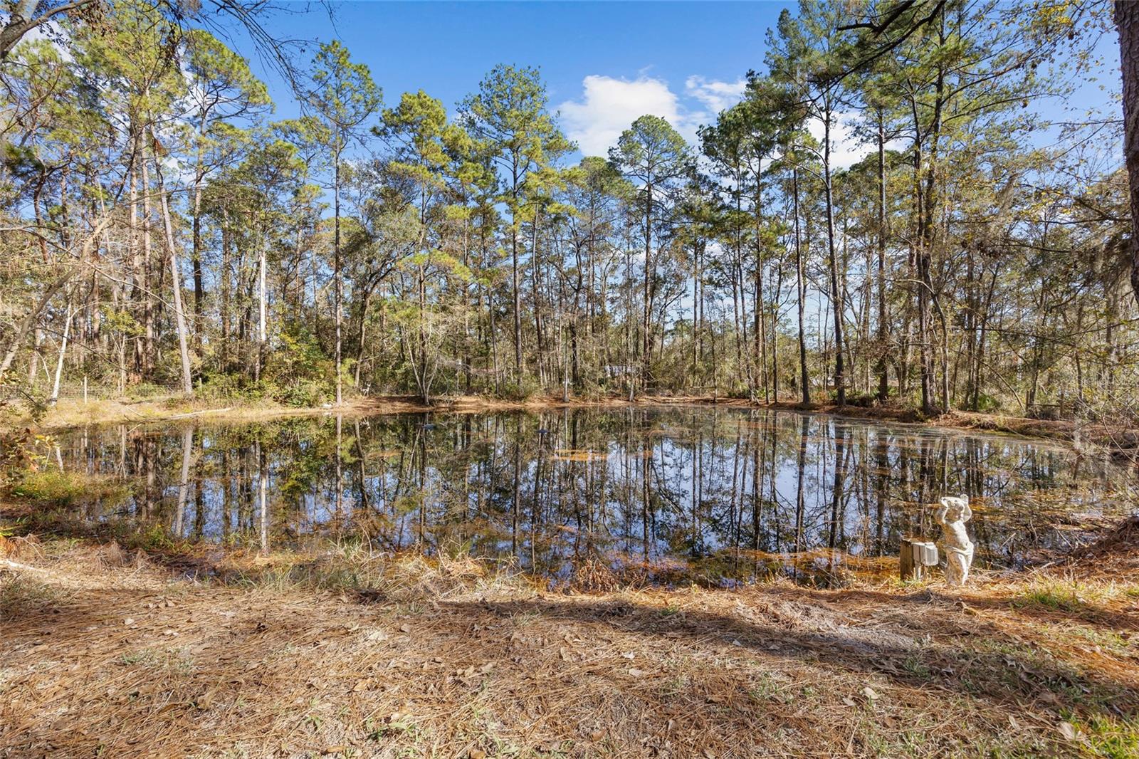 1921 SW TOMOKA TER, LAKE CITY, FL, 32025