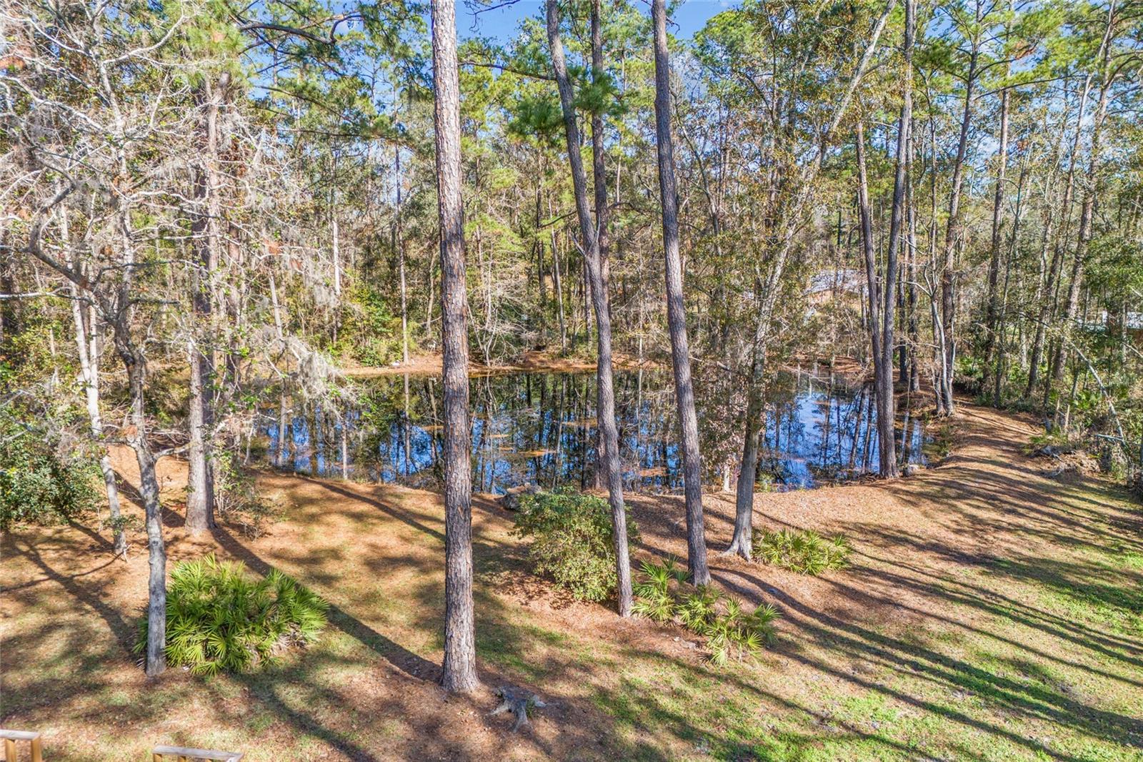 1921 SW TOMOKA TER, LAKE CITY, FL, 32025