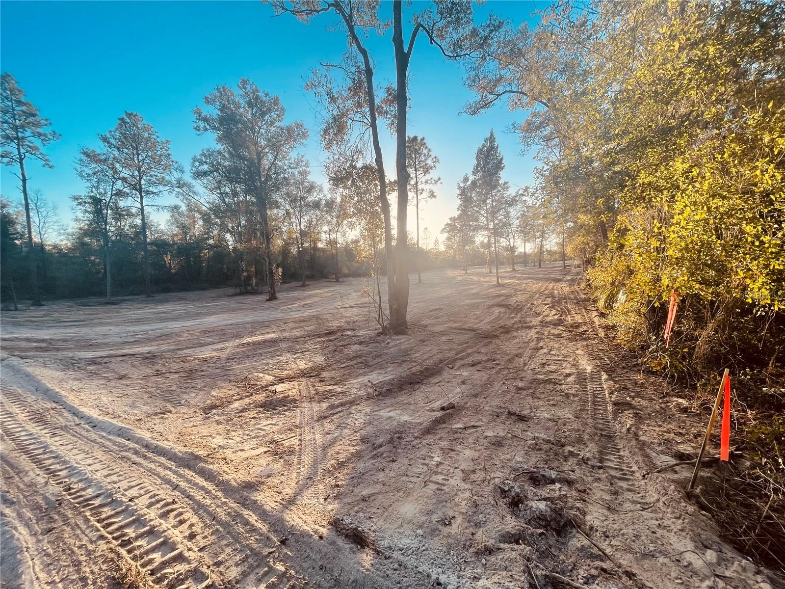 000 NE 90 AVE, BRONSON, FL, 32621