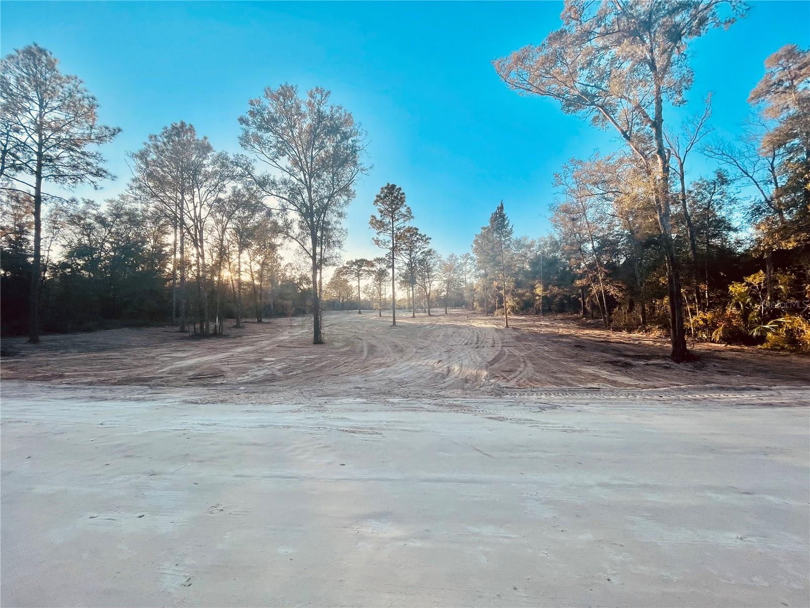 000 NE 90 AVE, BRONSON, FL, 32621