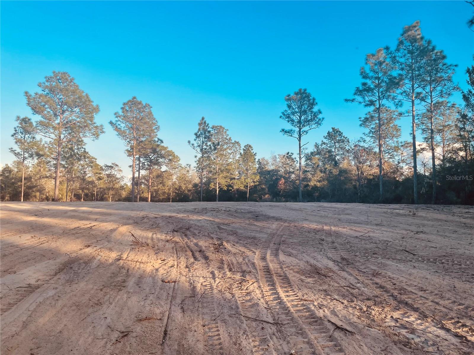 000 NE 90 AVE, BRONSON, FL, 32621