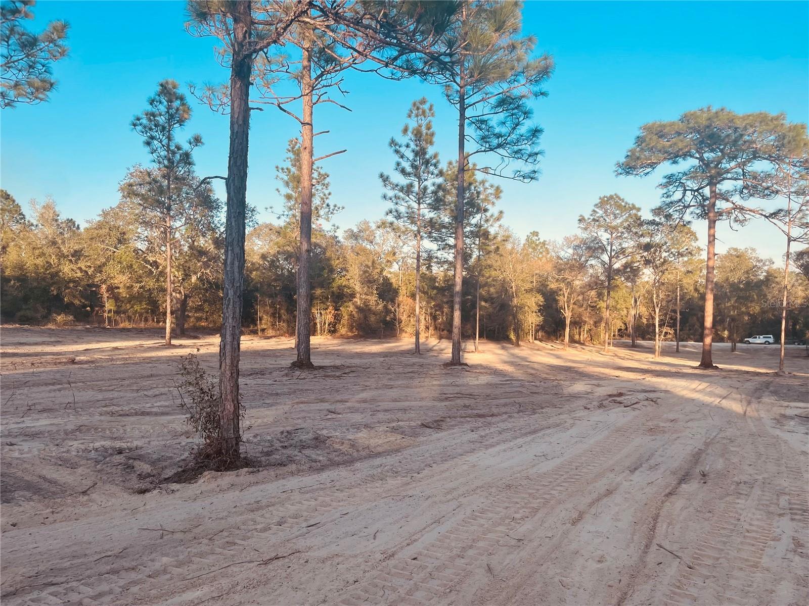 000 NE 90 AVE, BRONSON, FL, 32621