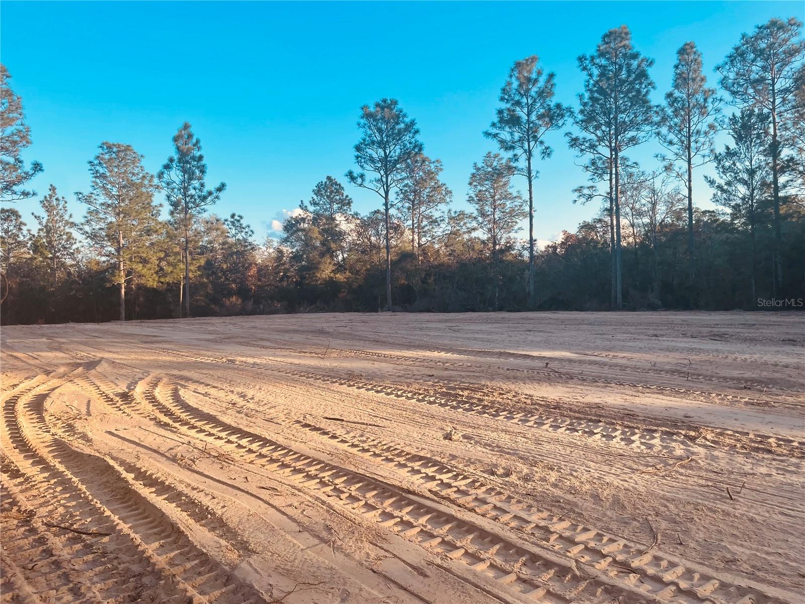 000 NE 90 AVE, BRONSON, FL, 32621
