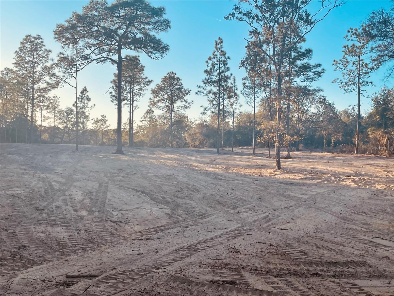000 NE 90 AVE, BRONSON, FL, 32621