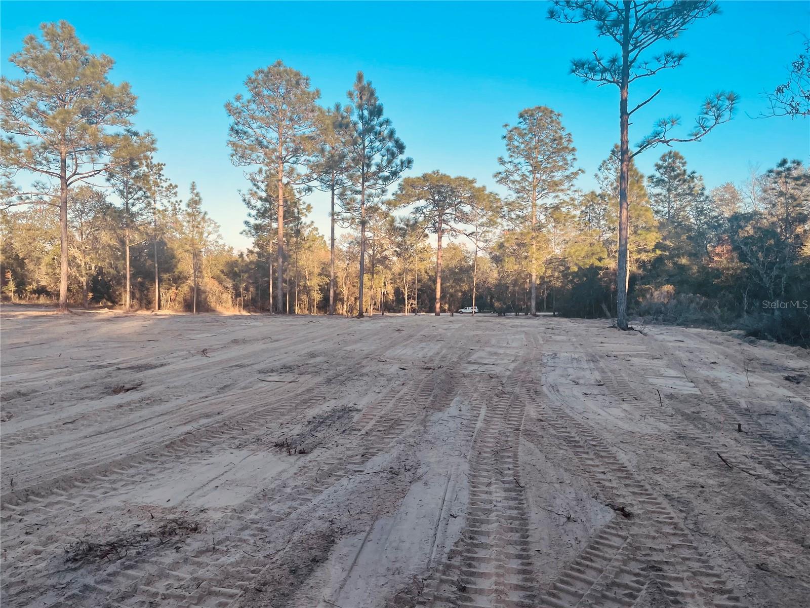 000 NE 90 AVE, BRONSON, FL, 32621