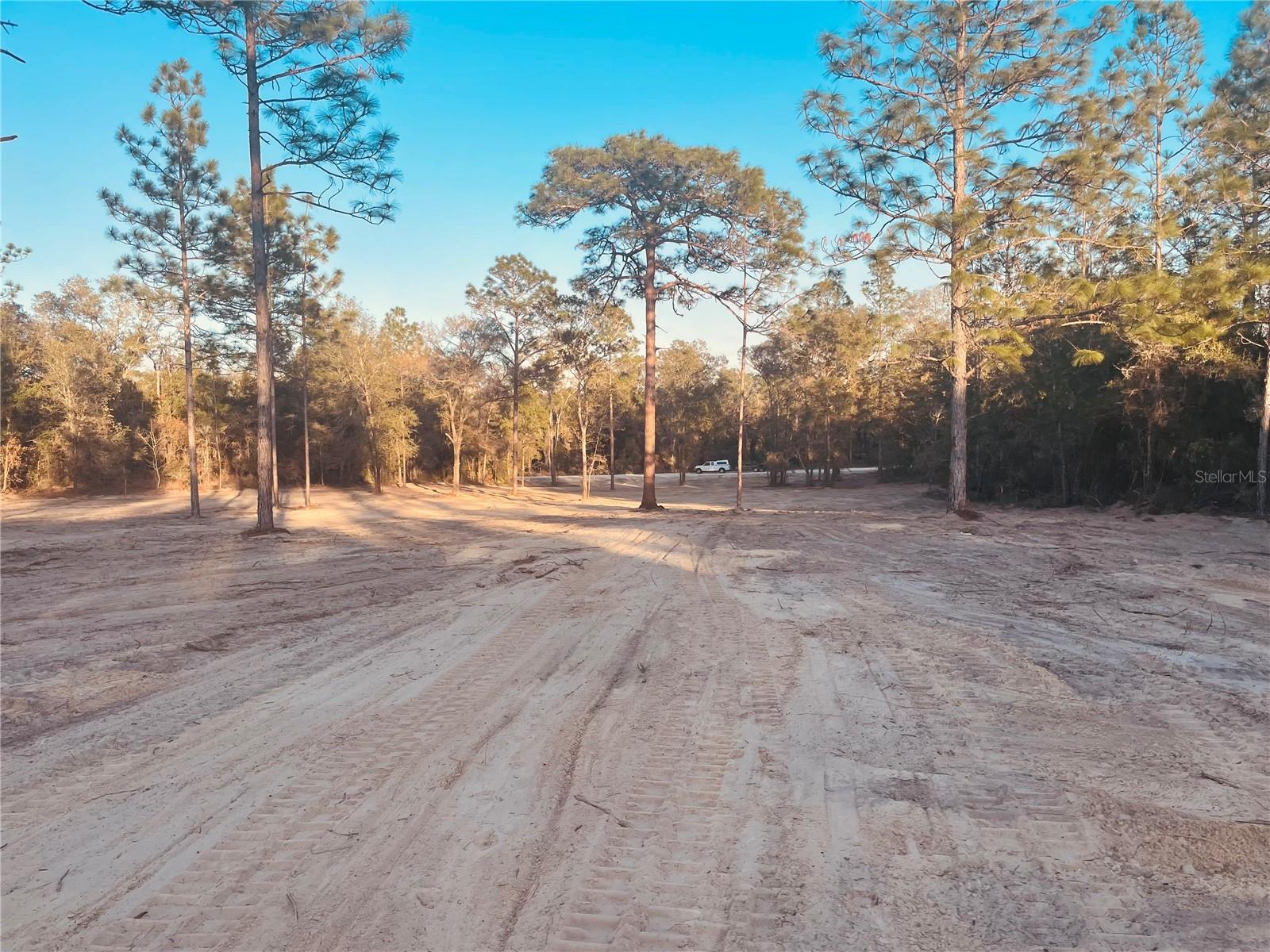 000 NE 90 AVE, BRONSON, FL, 32621