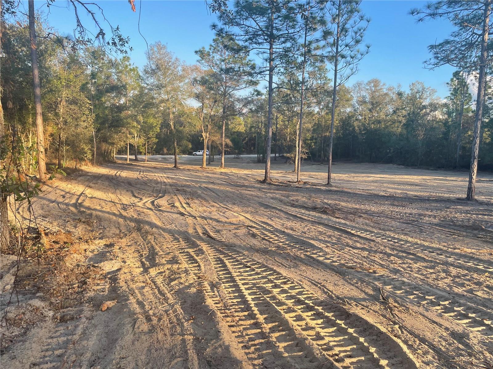 000 NE 90 AVE, BRONSON, FL, 32621