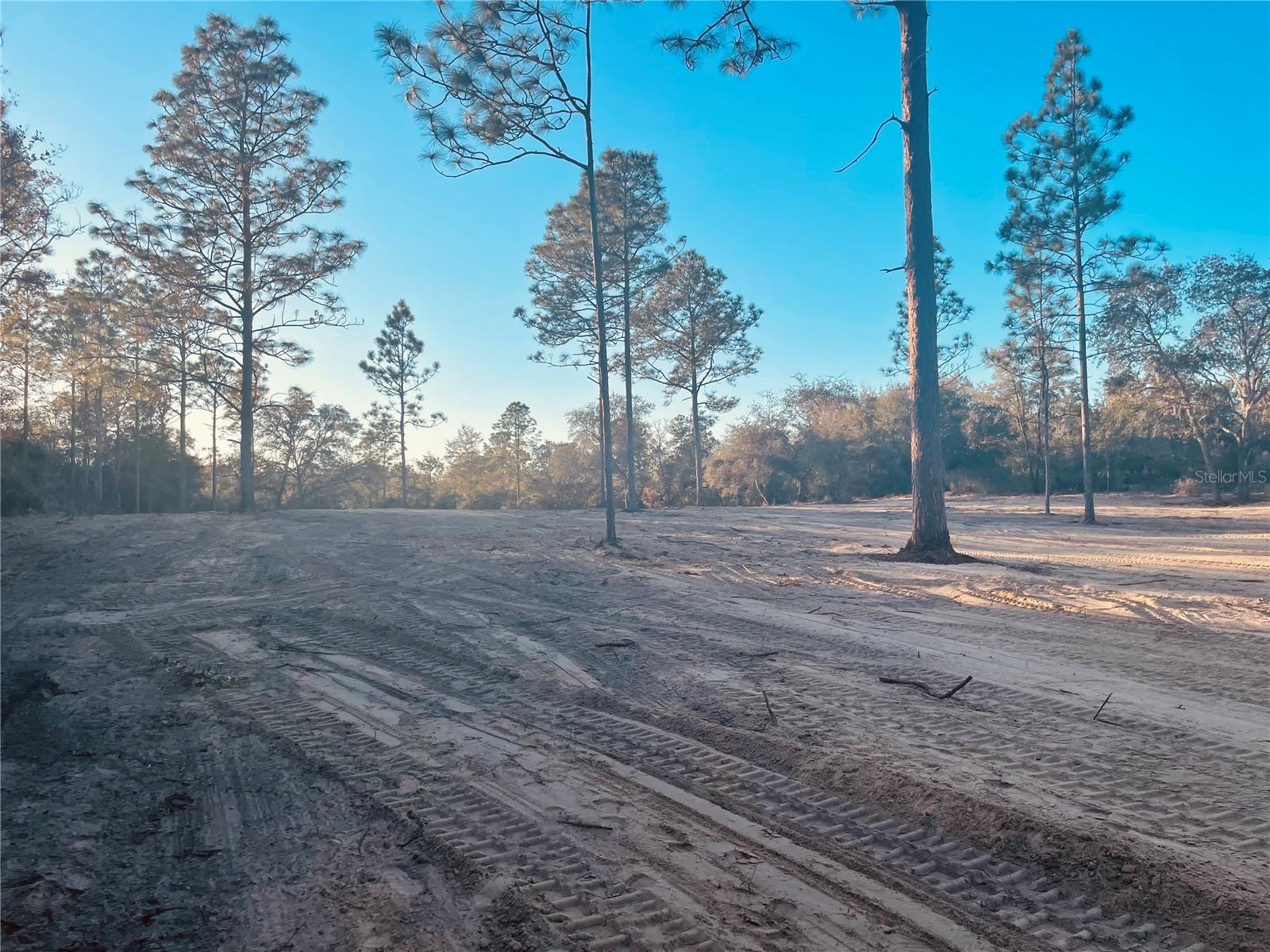 000 NE 90 AVE, BRONSON, FL, 32621