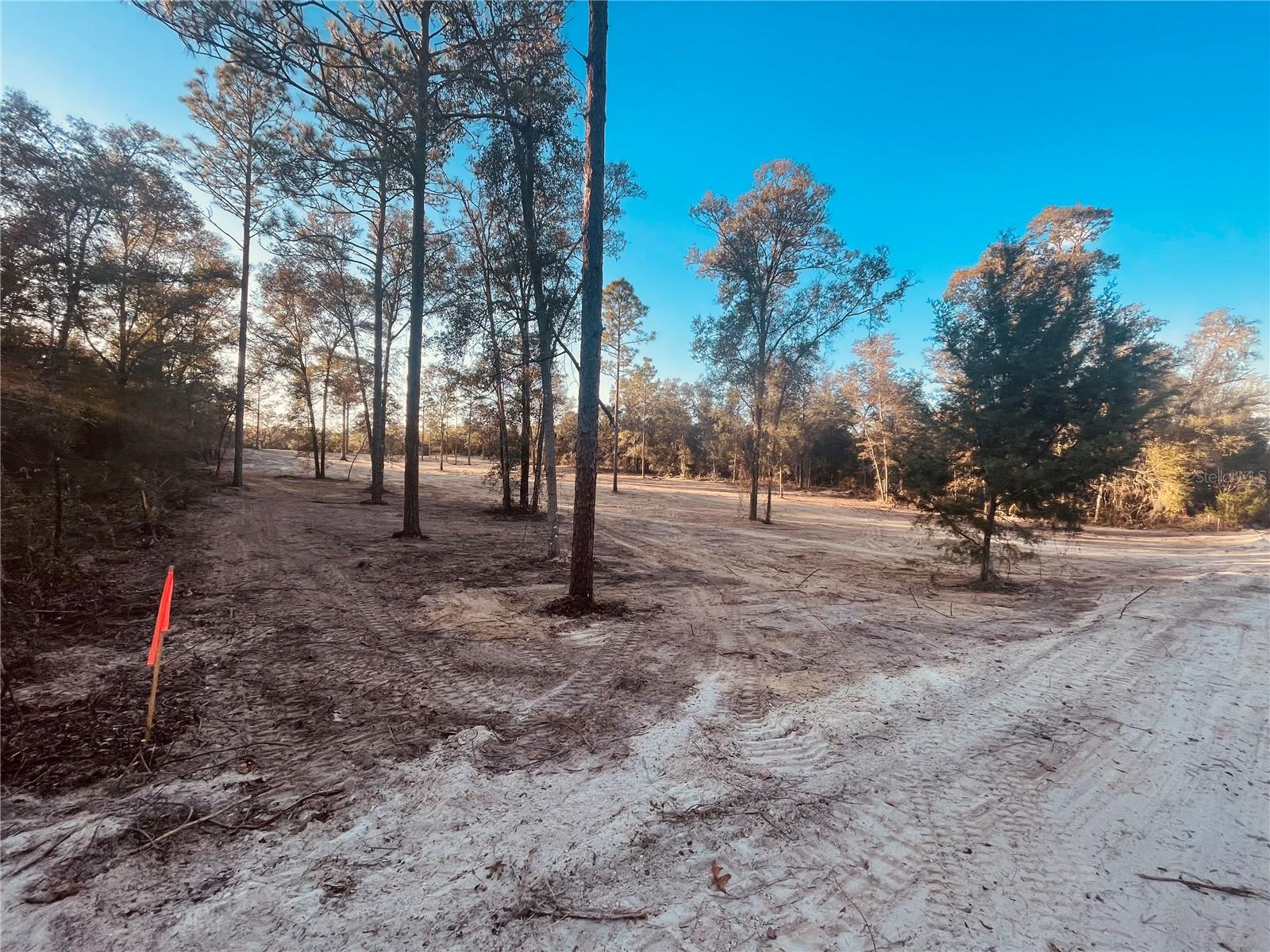 000 NE 90 AVE, BRONSON, FL, 32621