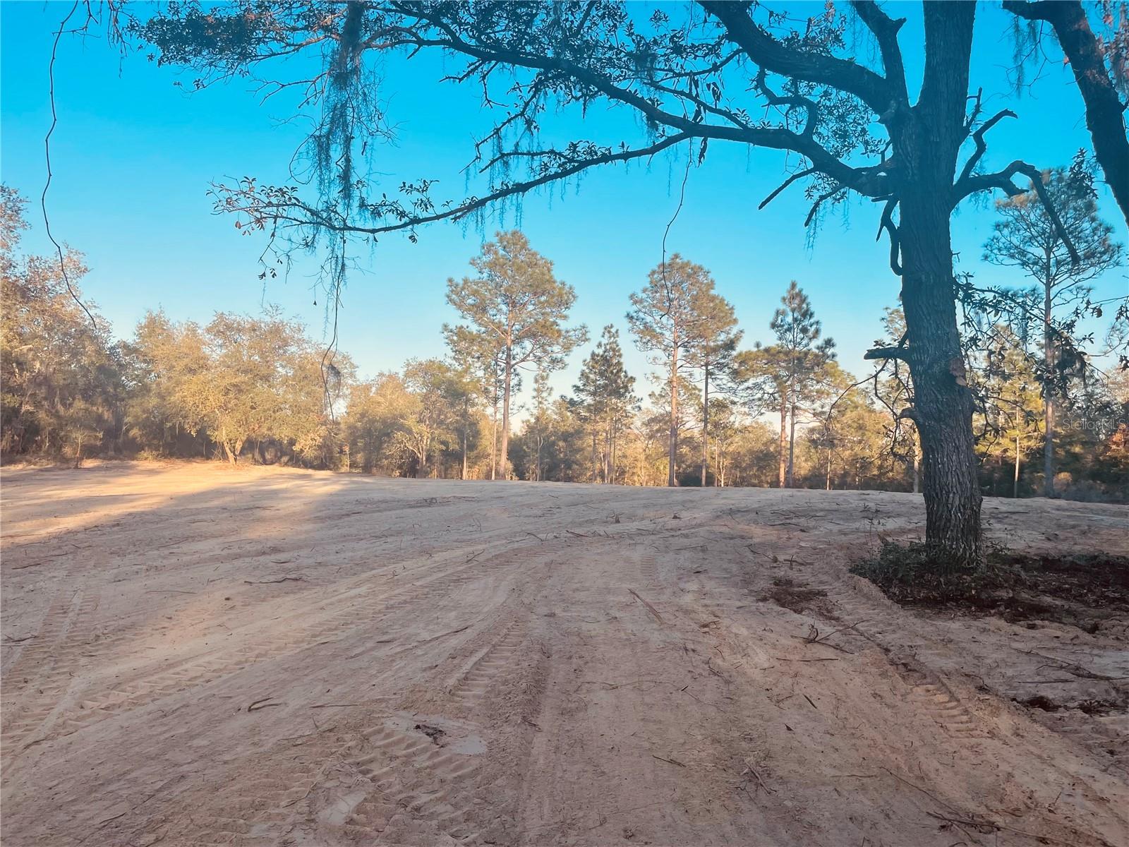 000 NE 90 AVE, BRONSON, FL, 32621