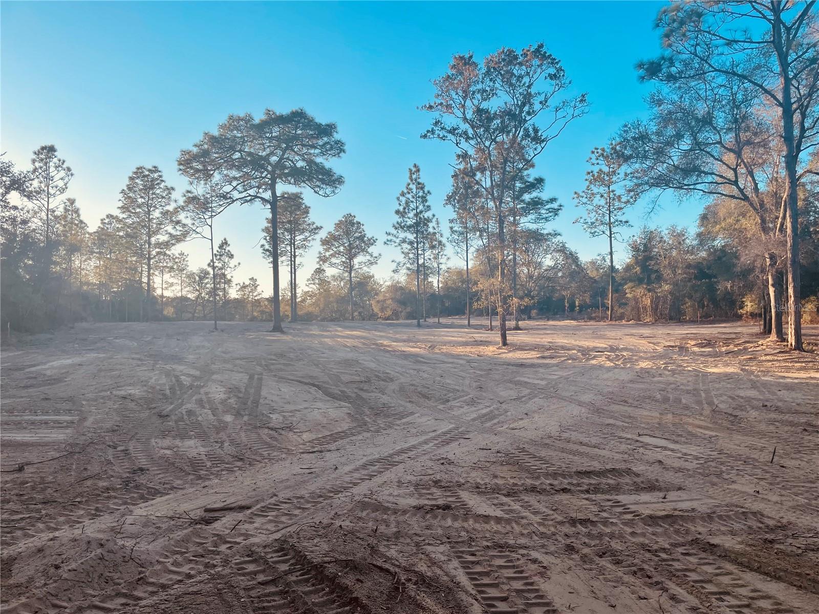 000 NE 90 AVE, BRONSON, FL, 32621