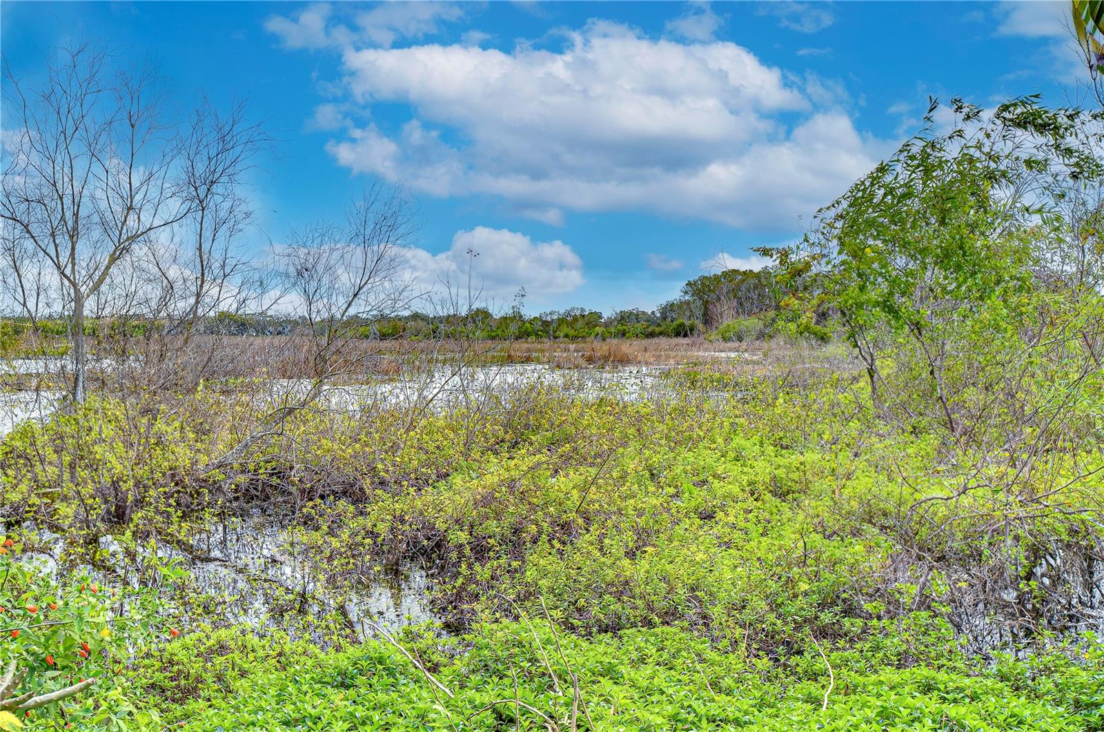 22926 SONOMA LN, LUTZ, FL, 33549
