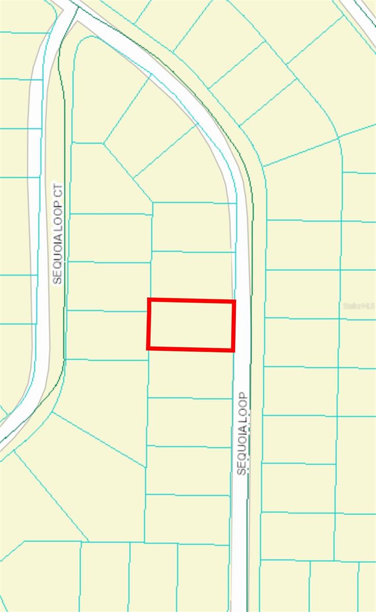 0 SEQUOIA LOOP, OCKLAWAHA, FL, 32179