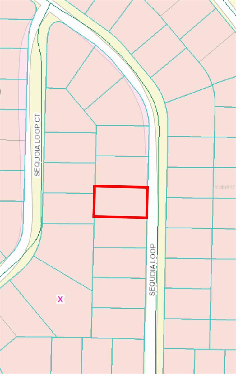 0 SEQUOIA LOOP, OCKLAWAHA, FL, 32179