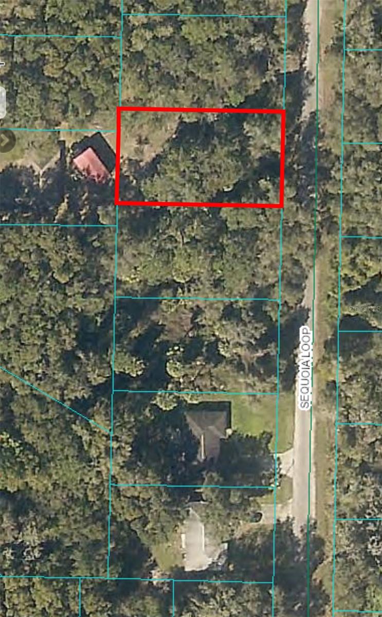 0 SEQUOIA LOOP, OCKLAWAHA, FL, 32179