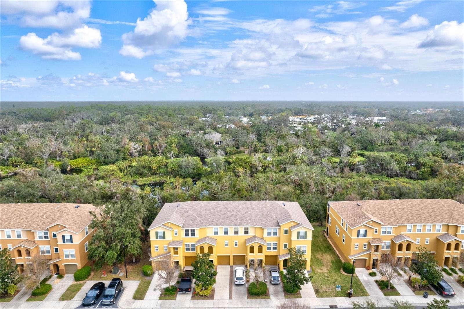 7325 BLACK WALNUT WAY, LAKEWOOD RANCH, FL, 34202