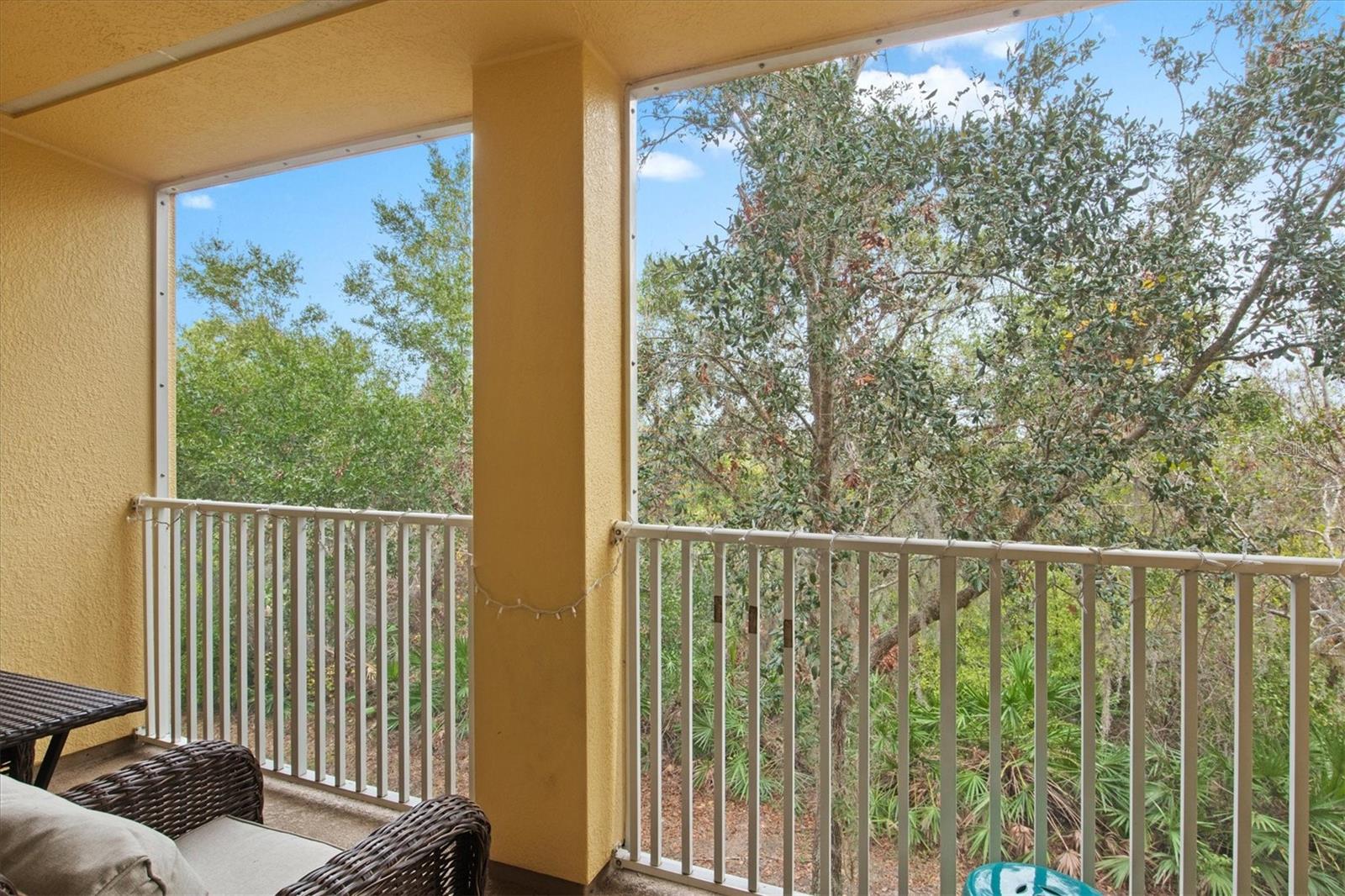 7325 BLACK WALNUT WAY, LAKEWOOD RANCH, FL, 34202