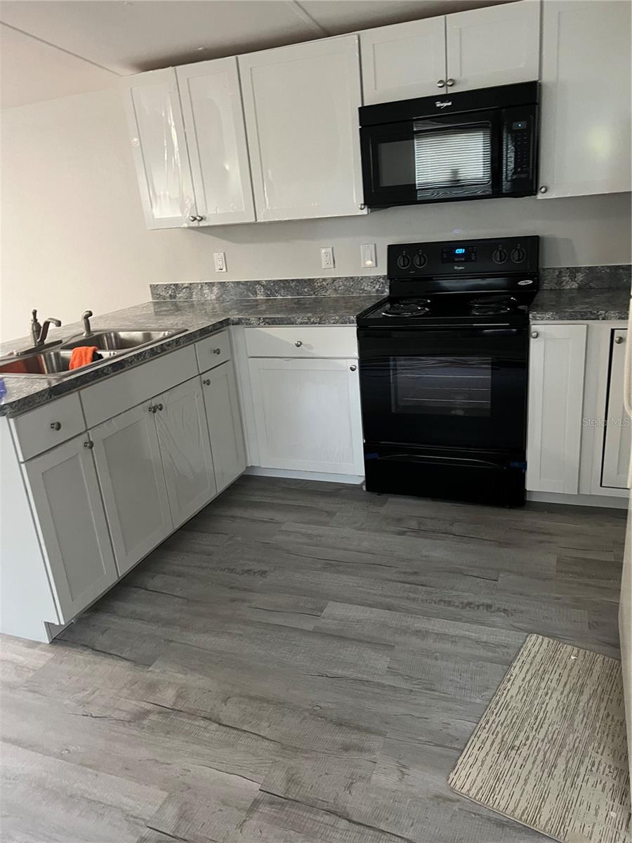 6386 SE 142ND LN, SUMMERFIELD, FL, 34491