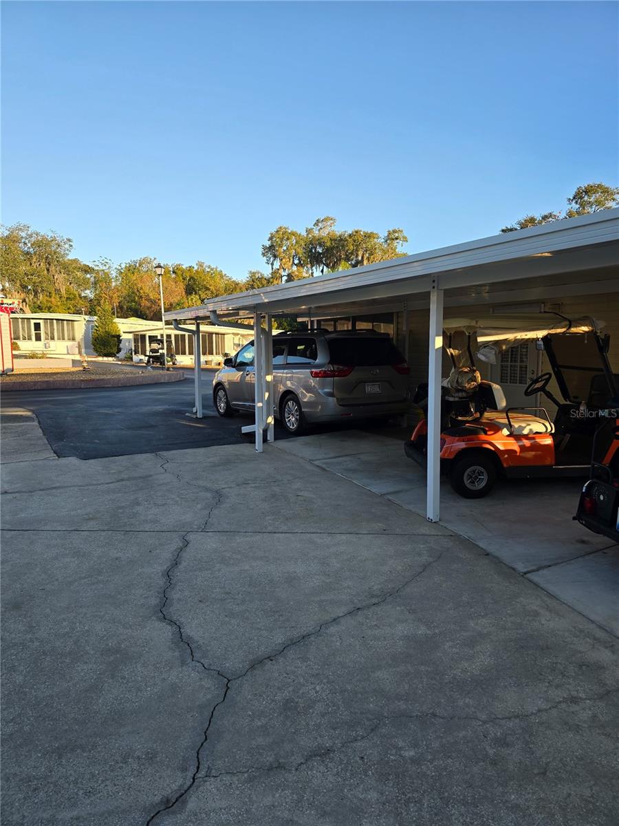 3896 PICCIOLA RD #241, FRUITLAND PARK, FL, 34731