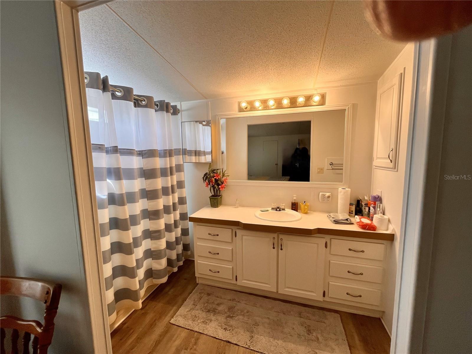 3896 PICCIOLA RD #241, FRUITLAND PARK, FL, 34731