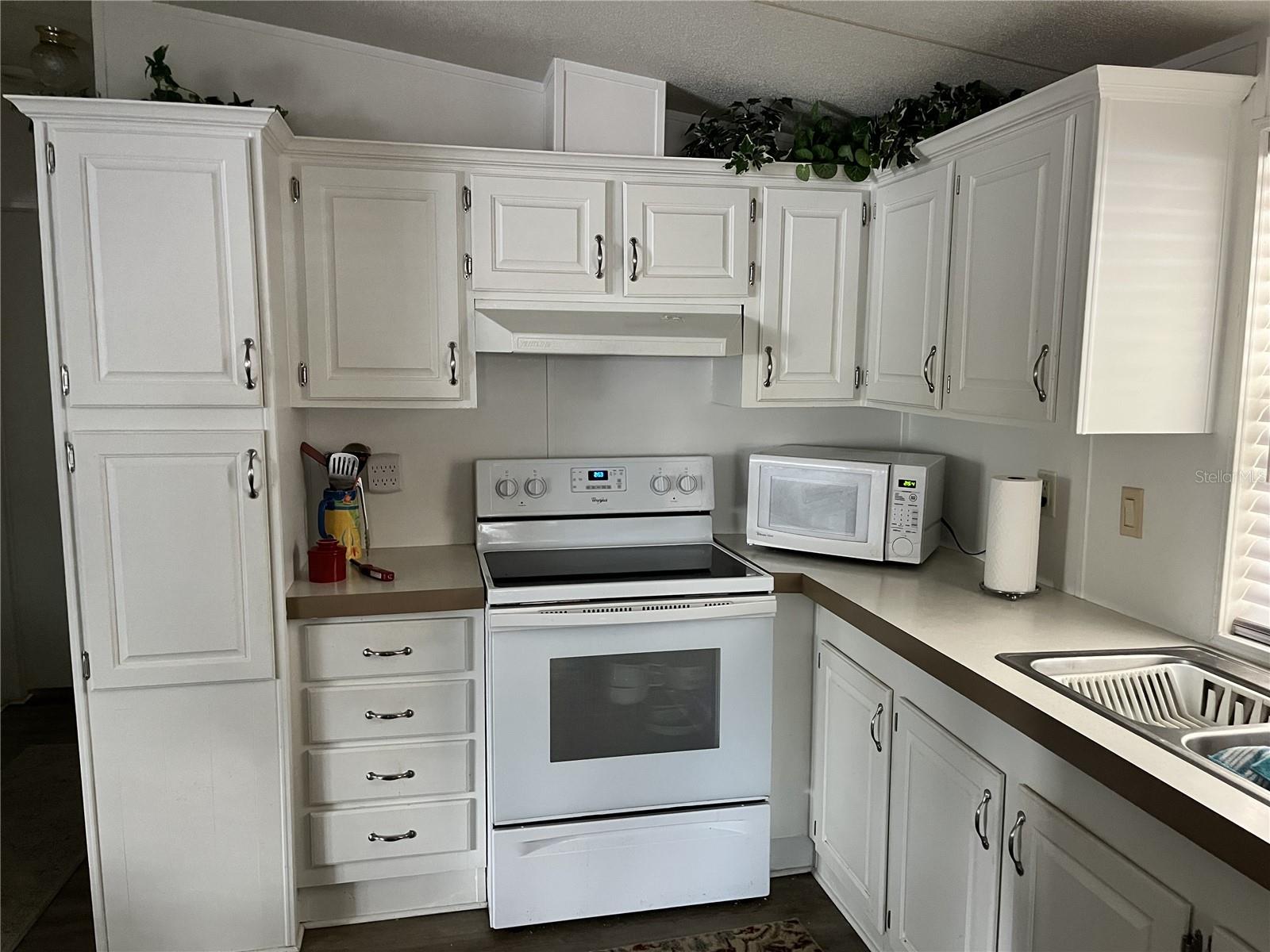 3896 PICCIOLA RD #241, FRUITLAND PARK, FL, 34731