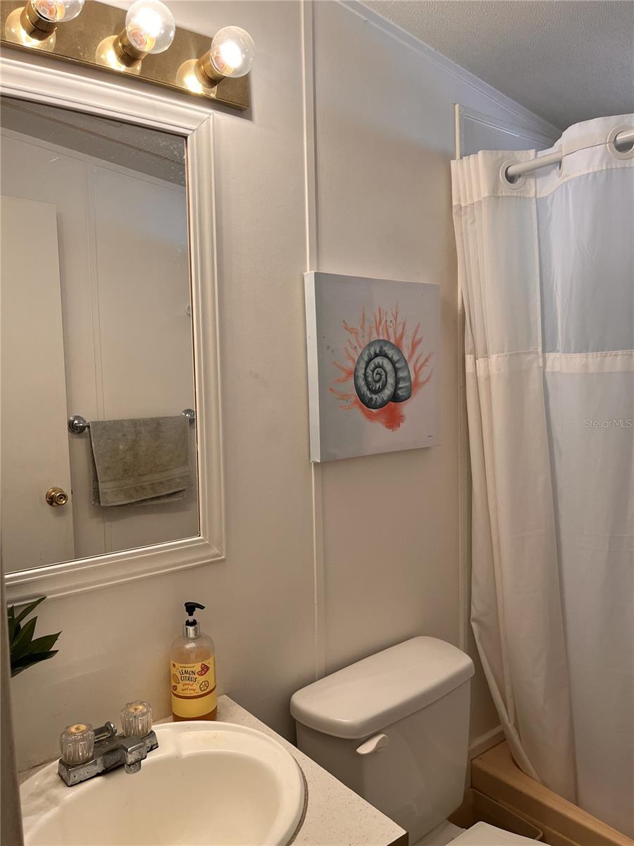 3896 PICCIOLA RD #241, FRUITLAND PARK, FL, 34731