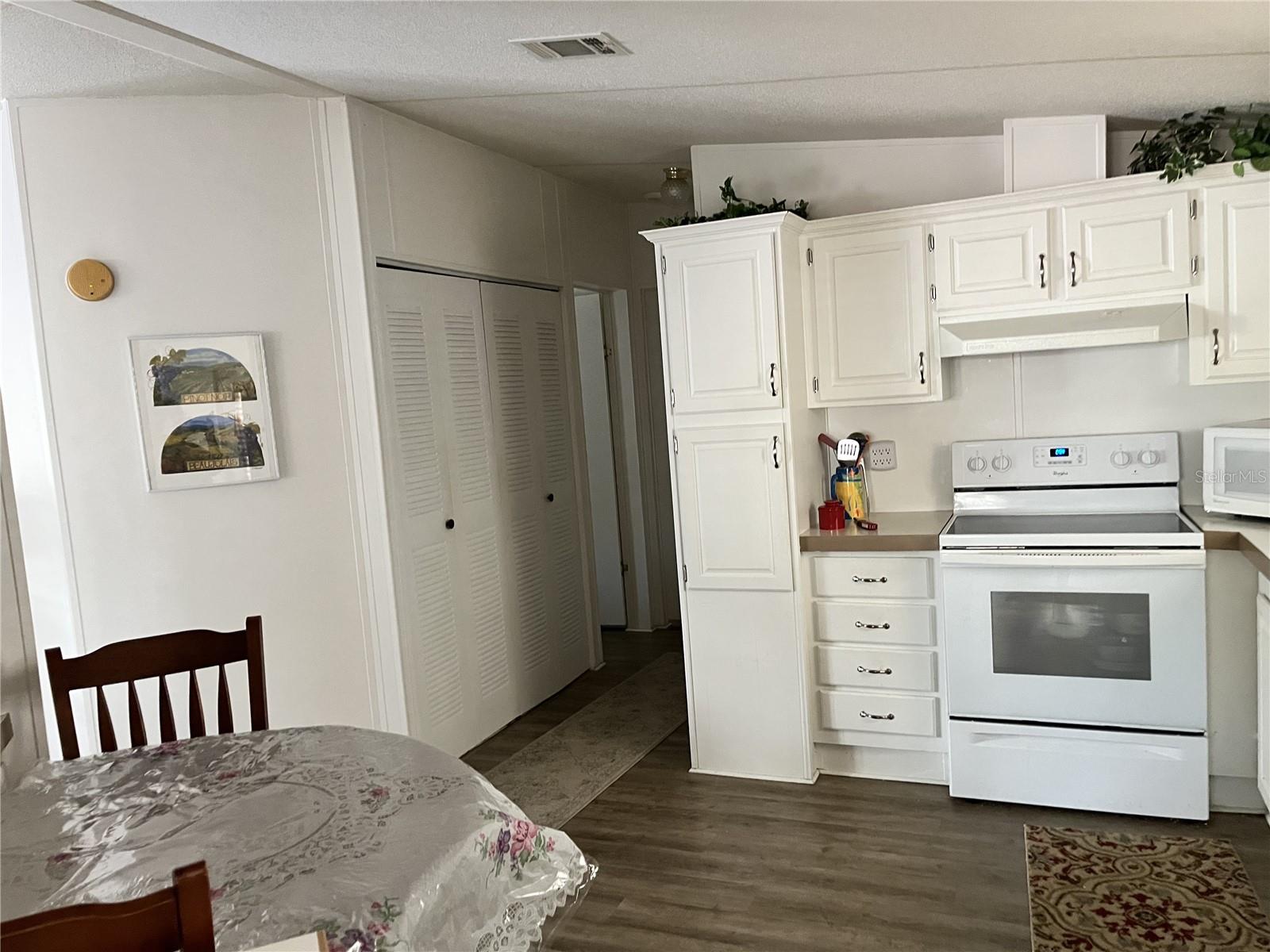 3896 PICCIOLA RD #241, FRUITLAND PARK, FL, 34731