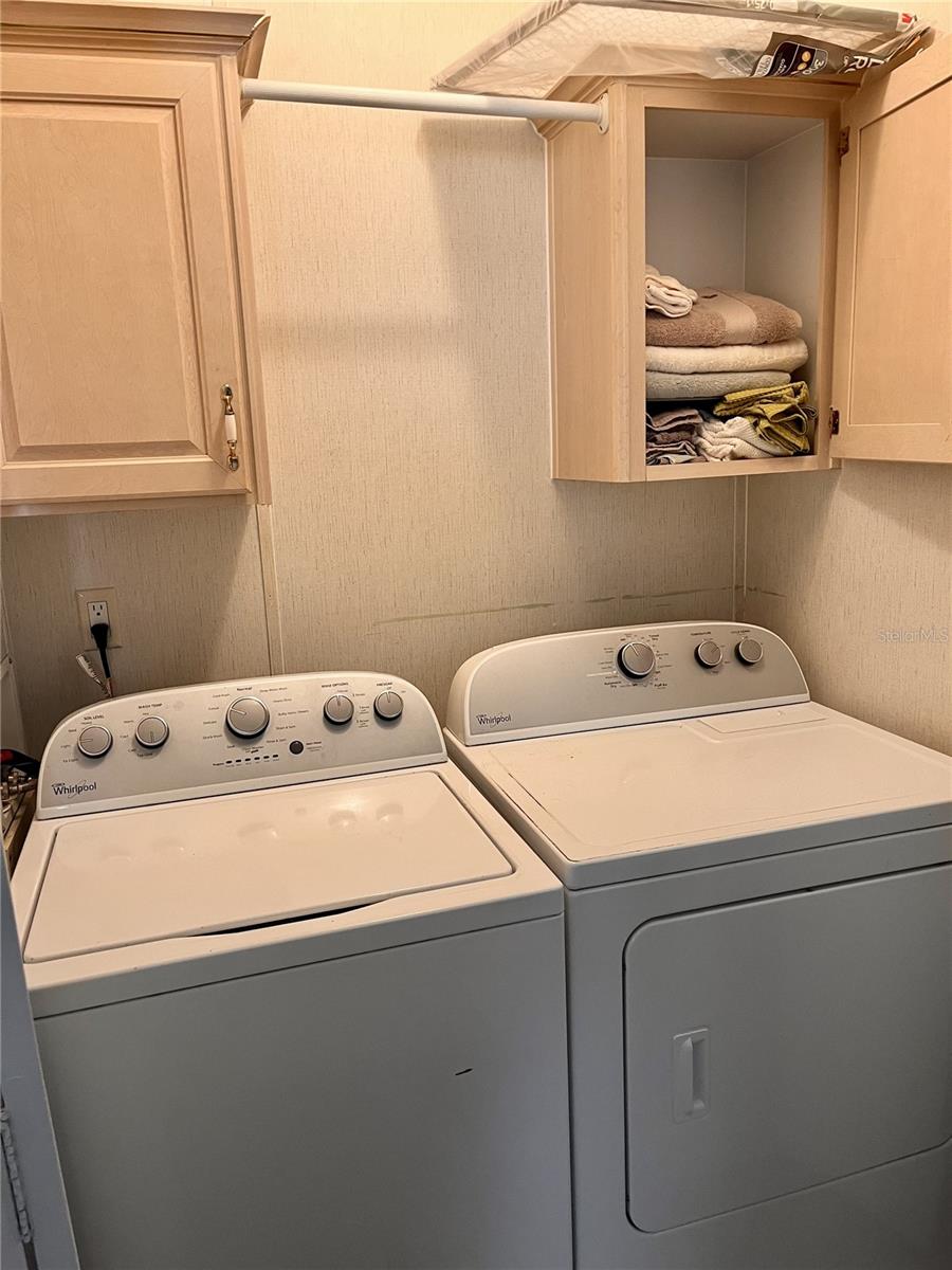 3896 PICCIOLA RD #241, FRUITLAND PARK, FL, 34731