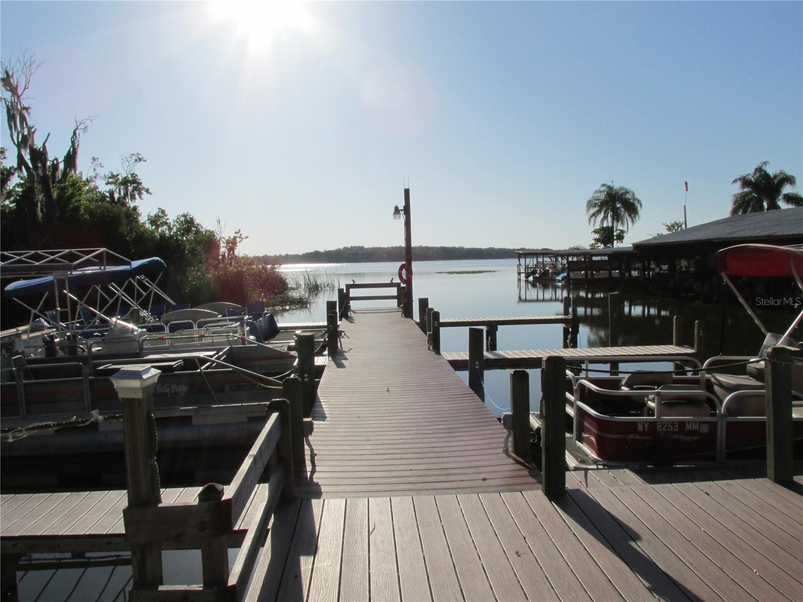 3896 PICCIOLA RD #241, FRUITLAND PARK, FL, 34731