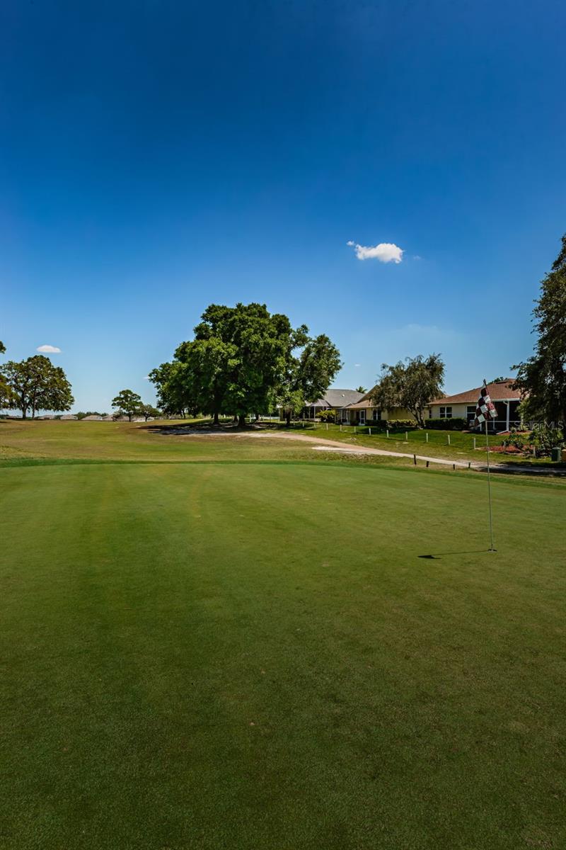 13133 GOLF RIDGE PL, HUDSON, FL, 34669
