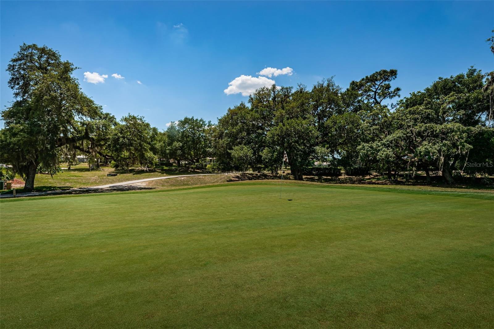 13133 GOLF RIDGE PL, HUDSON, FL, 34669