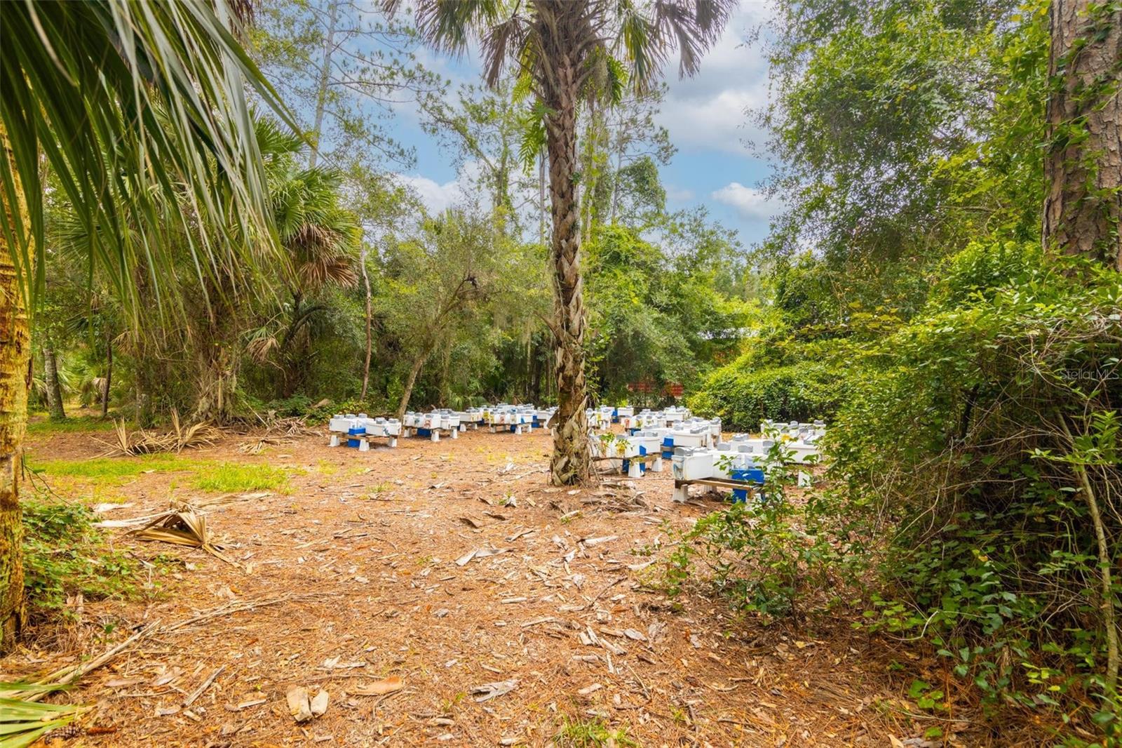 651 INGHAM, NEW SMYRNA BEACH, FL, 32168