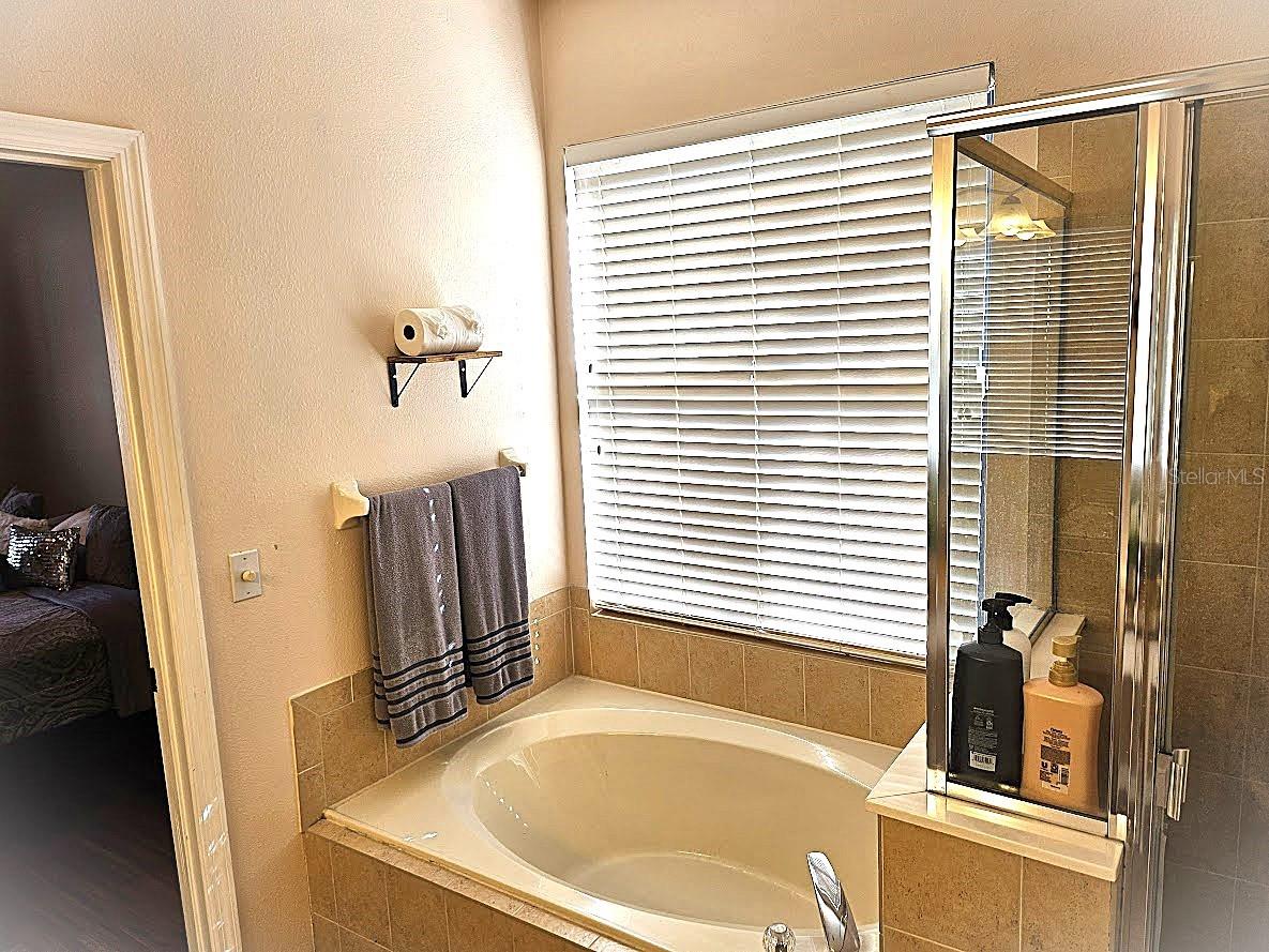 9564 VENEZIA PLANTATION DR, ORLANDO, FL, 32829