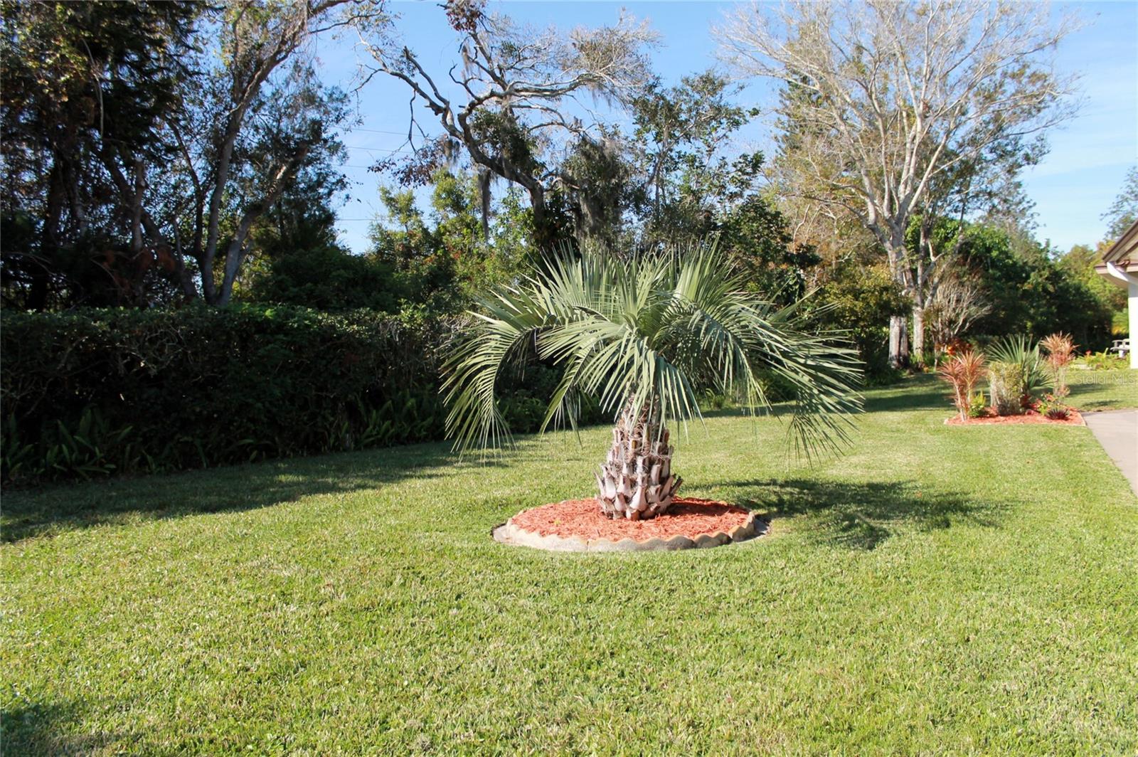 29 INDIGO DR, LAKE PLACID, FL, 33852