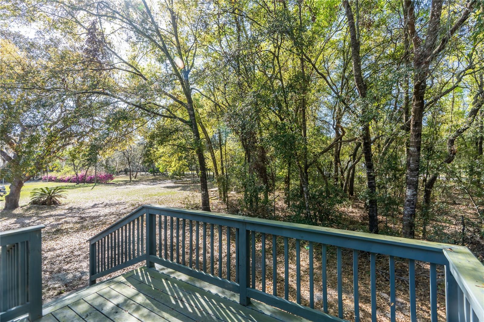 1129 E LA SALLE ST, HERNANDO, FL, 34442