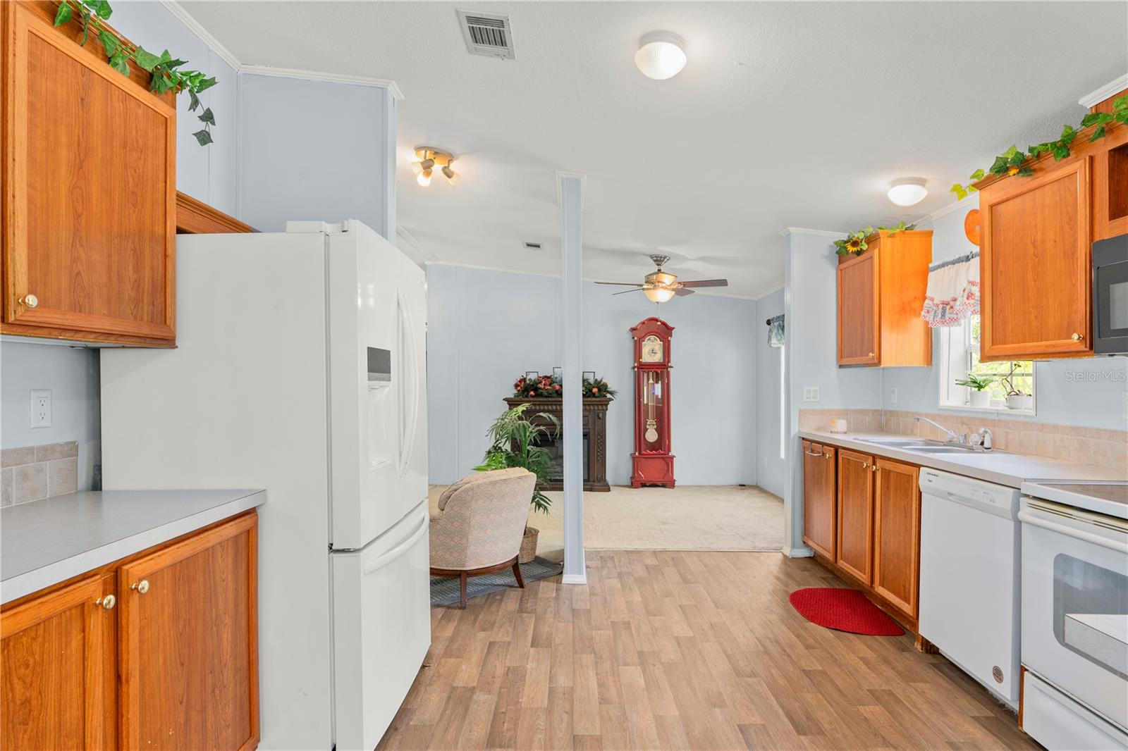 1129 E LA SALLE ST, HERNANDO, FL, 34442