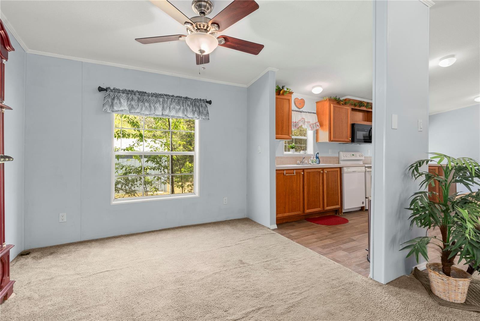 1129 E LA SALLE ST, HERNANDO, FL, 34442