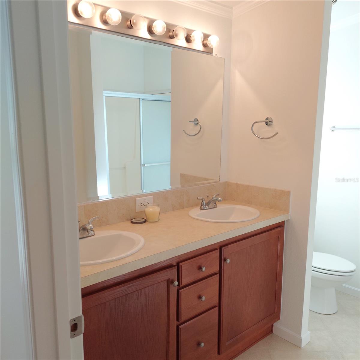 1760 DOROTHY BLVD, LUTZ, FL, 33558