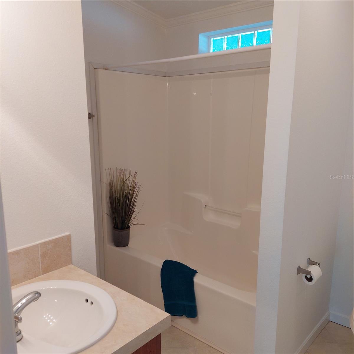 1760 DOROTHY BLVD, LUTZ, FL, 33558