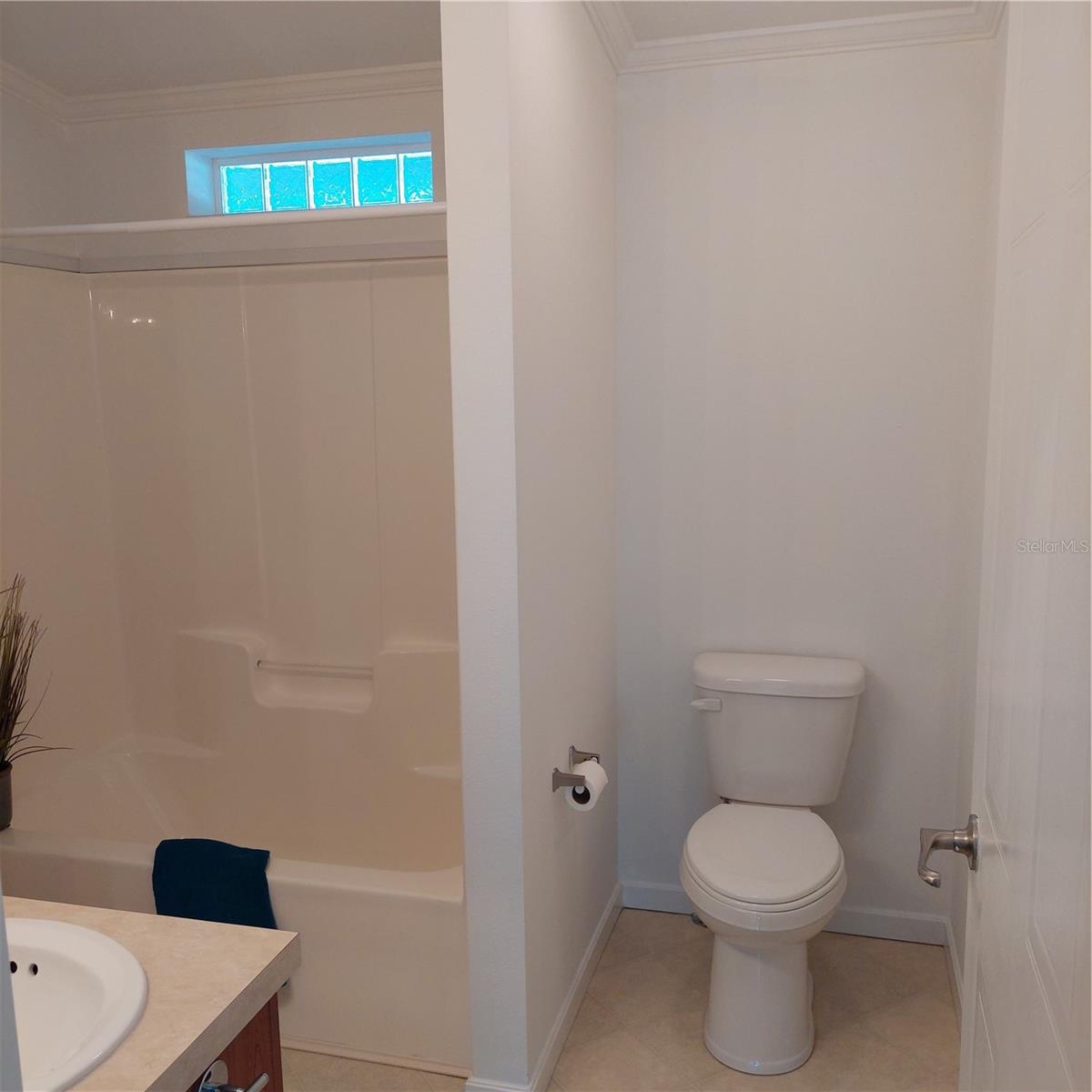 1760 DOROTHY BLVD, LUTZ, FL, 33558