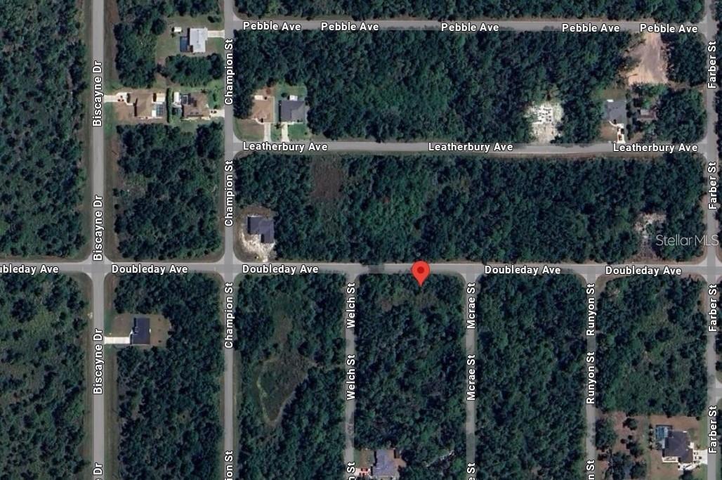 13349 DOUBLEDAY AVE, PORT CHARLOTTE, FL, 33953